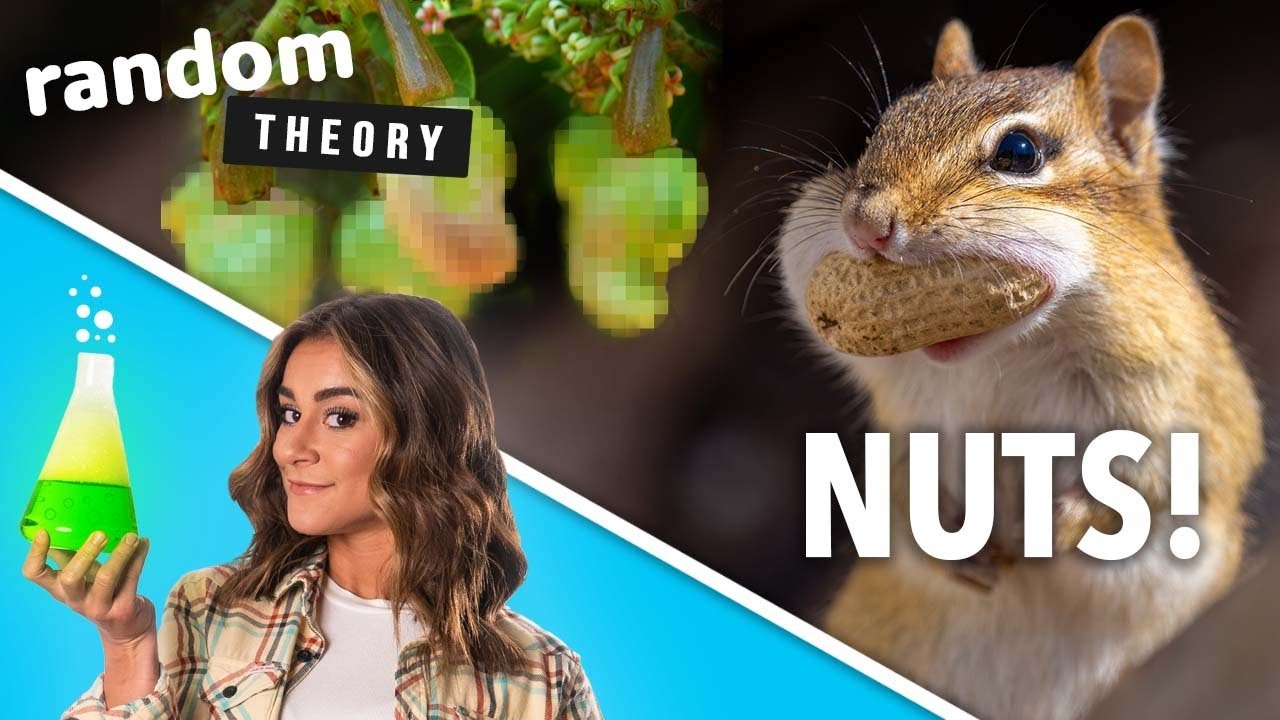 Your Nuts Don’t Grow Like You Think! - Random Theory EP. 13