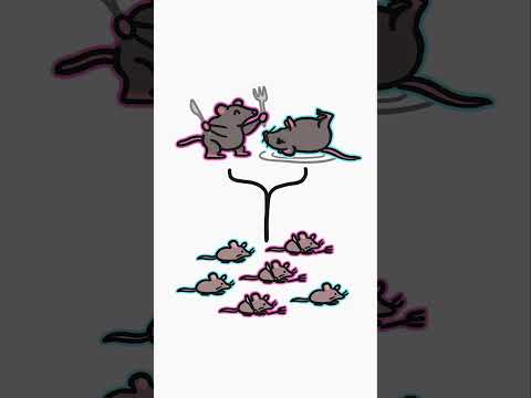 Why do female creatures eat their partner?