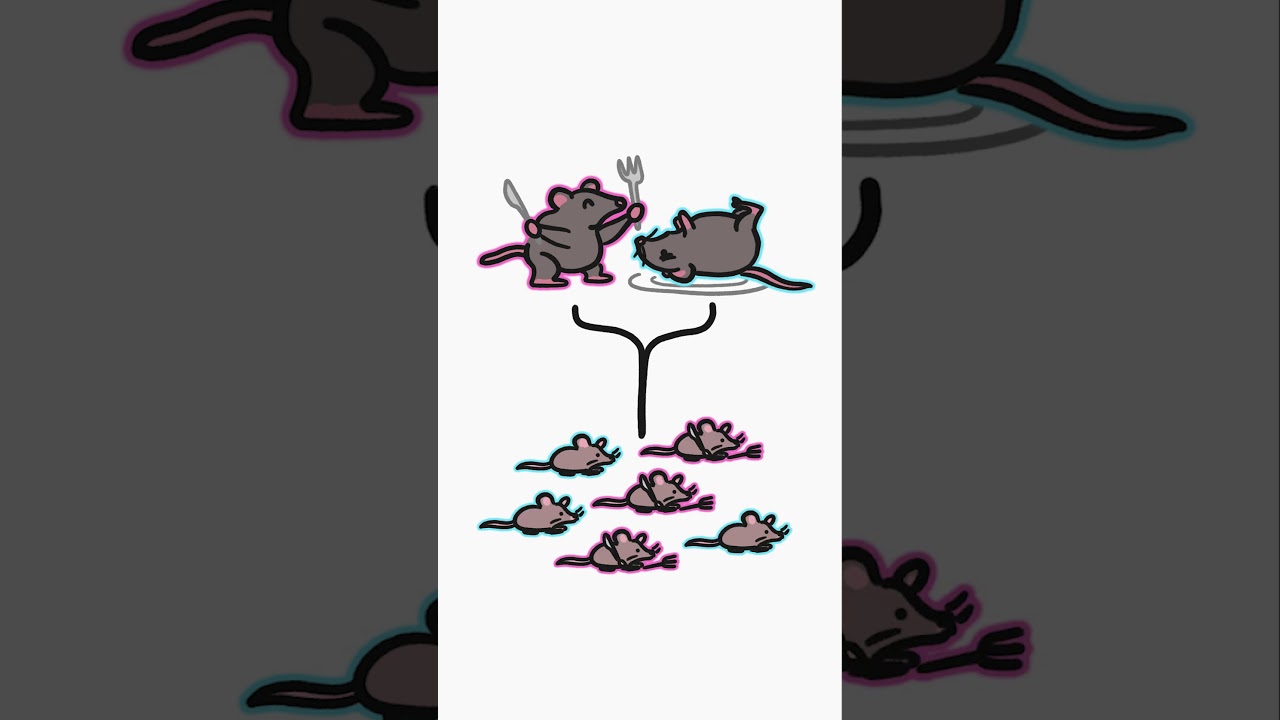 Why do female creatures eat their partner?
