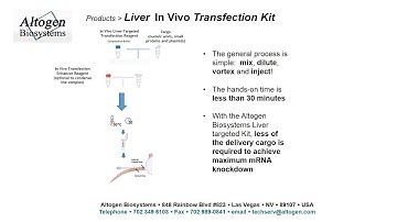 Altogen Biosystems In Vivo Liver Transfection Kit