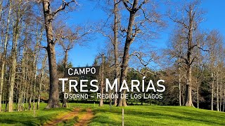 CAMPO TRES MARÍAS - OSORNO - REGIÓN DE LOS LAGOS