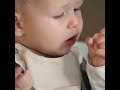 Cherub Baby Silicone Nibble Tray