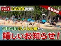 【ハワイ】2026年最新！格安航空ZIPAIR ホノルル線から嬉しいお知らせ！【ハワイ最新情報】【ハワイの今】