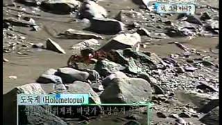스펀지 - Sponge 20060812  #002