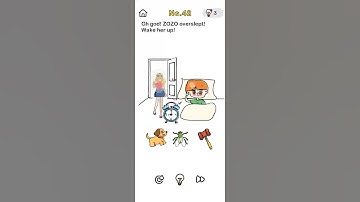 Brain Out Level- 42  Oh God! Zozo overslept! Wake her up! Walkthrough and Solution