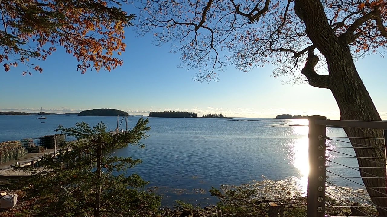 Coastal Maine View