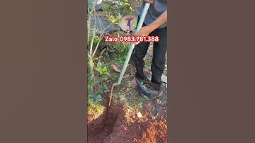 Dầm đánh cây chuẩn sịn thép nhíp oto hàng đặc biệt dày chắc khoẻ !