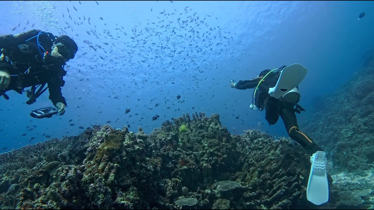 Okinawa Jamami island. Red1.0214 4k30f