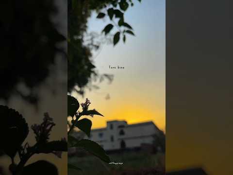 Humnava Mere Song Lyrics Video Song Bollywood Music Jubinnautiyal Humnavamere Lyrics Love