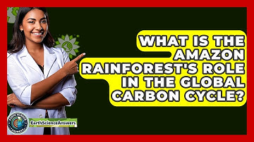 What Is The Amazon Rainforest