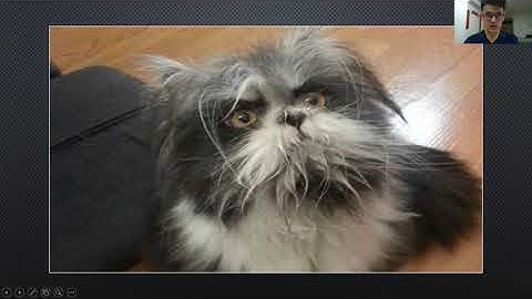 ECC4306 - Dog-Cat Image Classifier Model Using VGG16