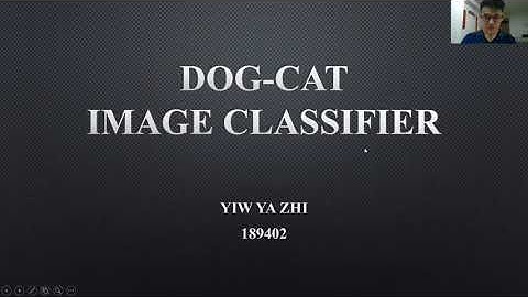 ECC4306 - Dog-Cat Image Classifier Model Using VGG16