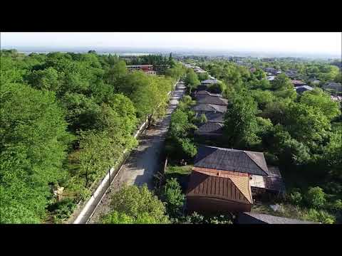 ლაგოდეხი პაკო