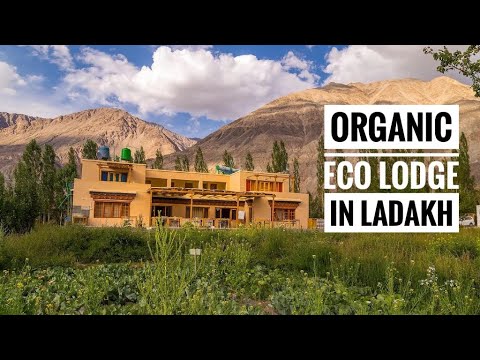 Video: Leh în Ladakh: atracții, festivaluri, hoteluri