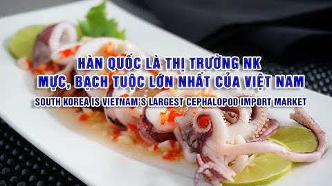 VASEP Highlight - T3/2024: Mực và Bạch Tuộc
