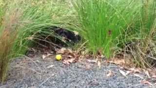 Olive's cubbyhole at the park