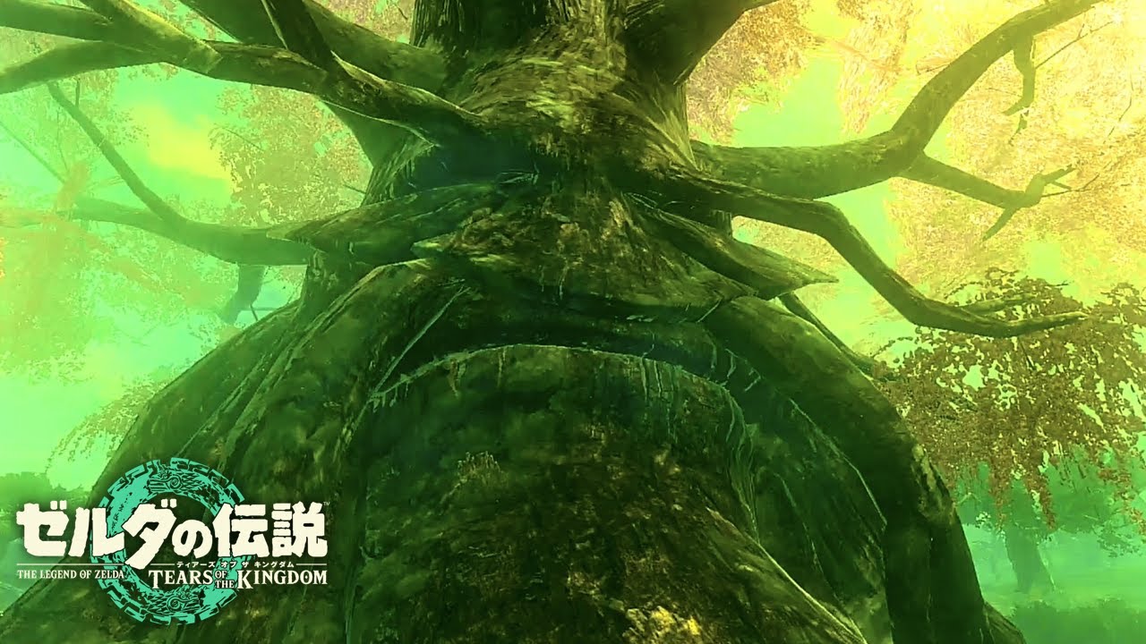 Deku Tree was originally from the XX tribe - YouTube