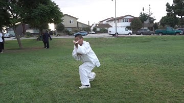 Bagua: Following Posture Palm