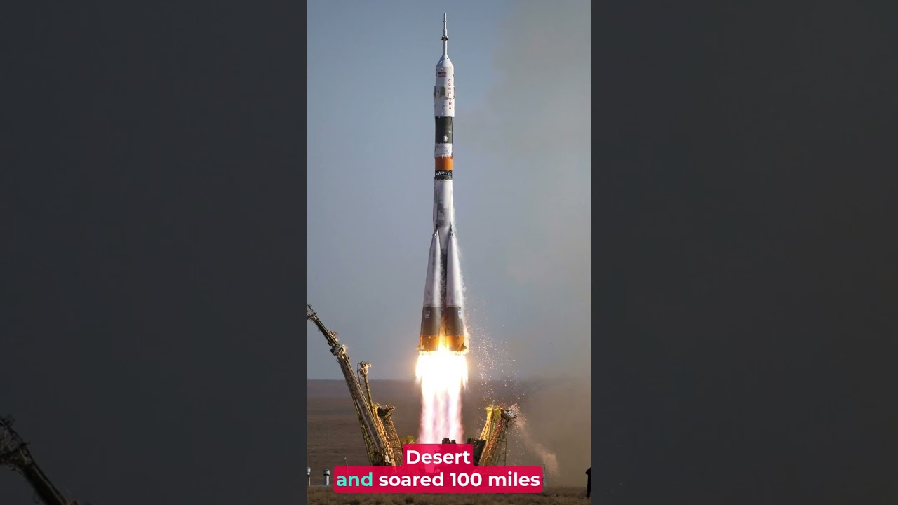 The First Cat In Space 