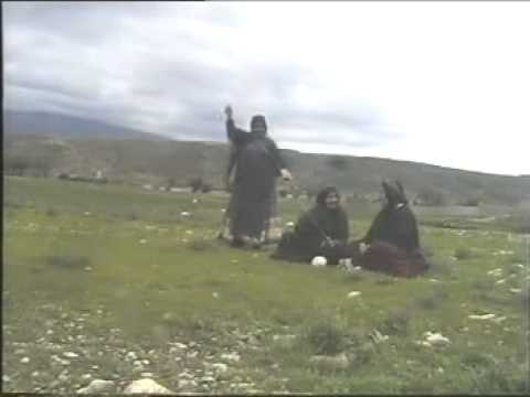   علي سرو ازاد