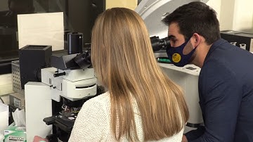 Clinical Hematopathology Lab - Dr. Anne Avery