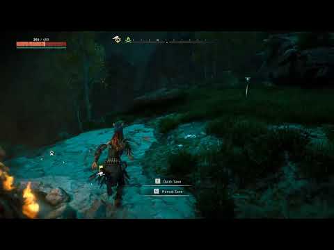 HZD #6