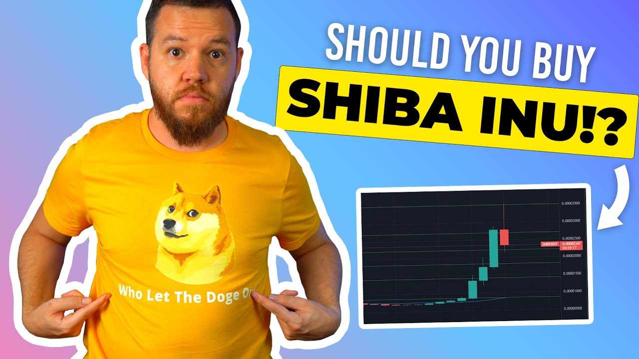 Should You Buy SHIBA INU NOW!? [Analysis]