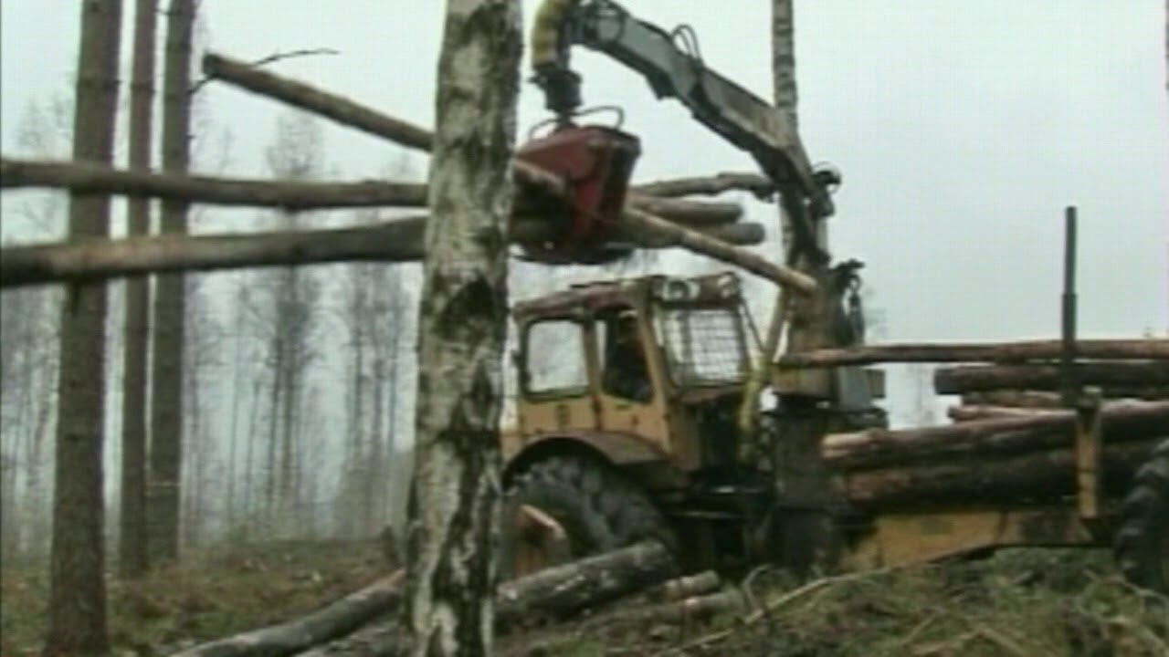 Timmerkalle kör hem veden!