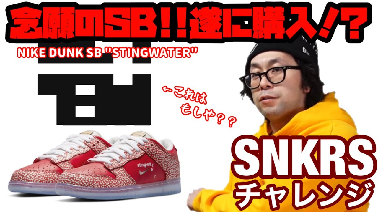 SNKRS速報！！Stingwater x NIKE SB DUNK LOW PRO 