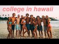 What college in hawaii is like  hawaii pacific university vlog