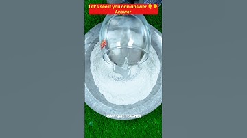 Can You Solve This Fun Riddle? 🤔 | ASMR Satisfying Quiz #shorts #quiz #asmr #funquizforkids