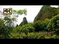 Iao Valley [イアオ渓谷、マウイ島] - Maui, Hawaii - Virtual Walk - 4K UHD
