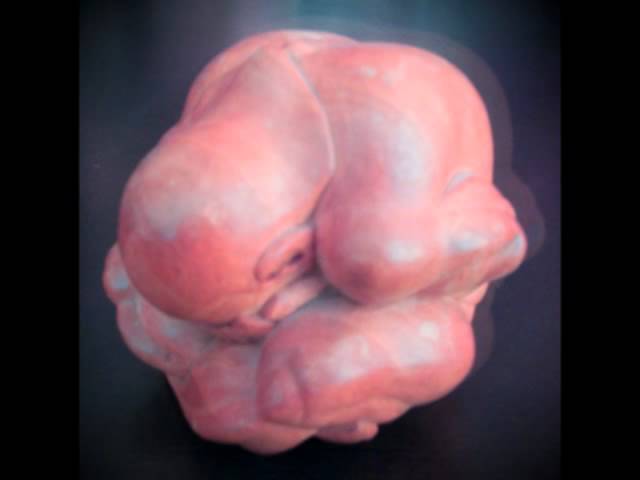 Watch Baobab, Old Red Shoe on YouTube Watch Baobab, Old Red Shoe on YouTube