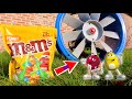 SHREDDER FAN Vs M M S CRUNCHY EXPERIMENT 