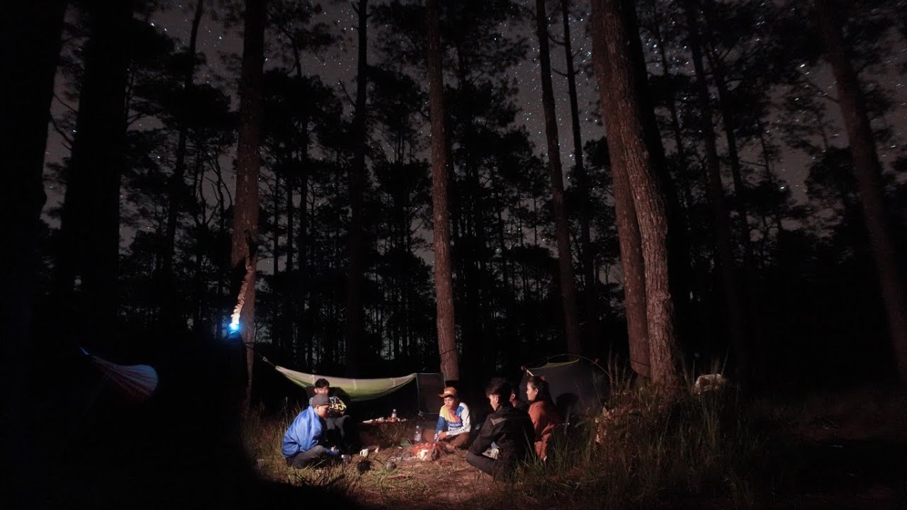 Camping in the forest Relax in The ForestFriends Cooking Dinner Sound ofNaure បោះតង់នៅគីរីរម្យ EP81