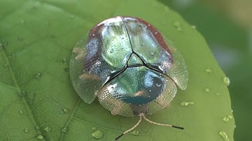 Interview with 3D Artist Alexia Rubod