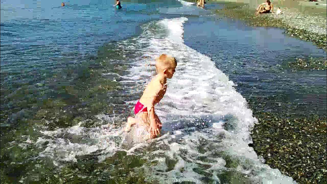 Черное море когда купаться. Купаемся в открытом море. Купаемся в море сочи. Купание в море. Пришли утром на море поплавать.