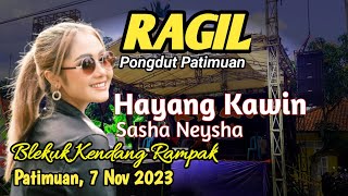 HAYANG KAWIN - SASHA NEYSHA - RAGIL PONGDUT