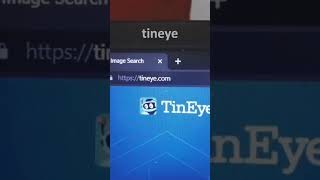 Image Search And Recognition