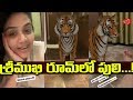 Sreemukhi is Introducing her New Pet Sheru  Srimukhi Latest Funny Video with Tiger  Gossip Adda
