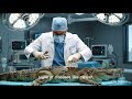 🐊 Dex the SURGEON Operates on a Crocodile! Most Unexpected Animal Hospital EVER Funny Comedy