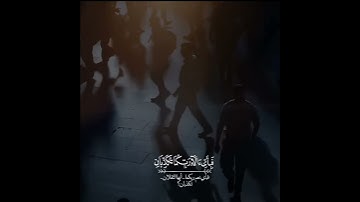 تلاوة تشرح الصدر وتريح الفؤاد | من سورة الرحمن بصوت القارئ : اسلام صبحي 🍀🌸