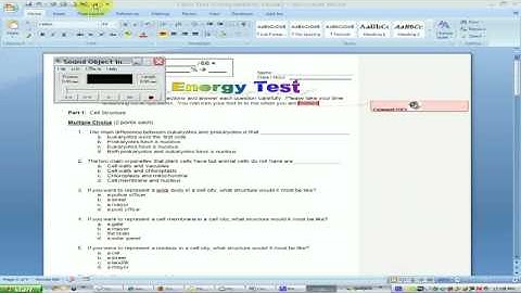 Inserting audio notes in Word 2007 for test accommodations