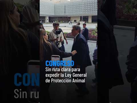 Diputados y Senado: sin ruta para expedir la Ley General de Protección Animal