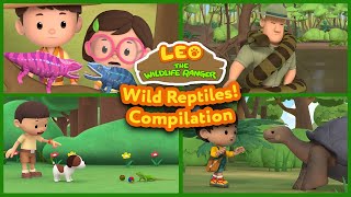Wild Reptiles!  Leo The Wildlife Ranger (Compilation)