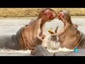 El Valle Indómito. La Laguna de los Hipopótamos | Grandes Documentales