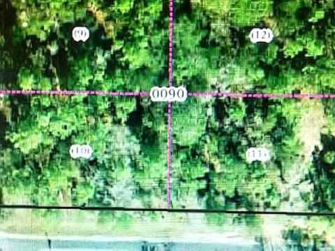 8303 N Ocoee Ter, Crystal River, FL home video tour