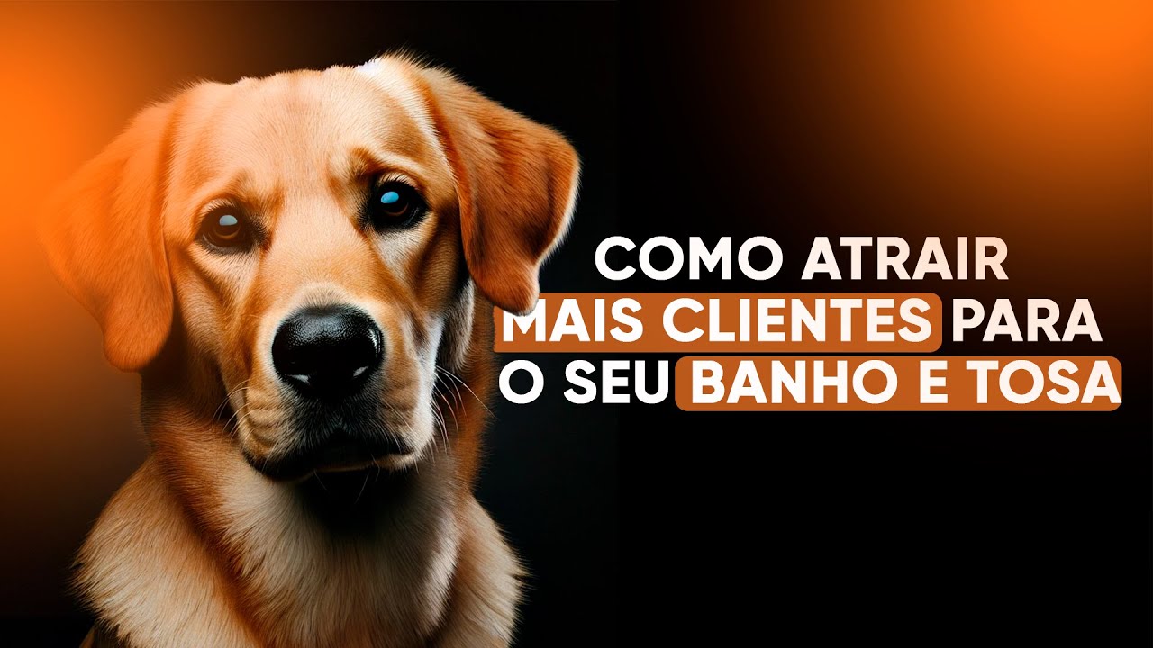 COMO ATRAIR MAIS CLIENTES PRO SEU BANHO E TOSA - YouTube