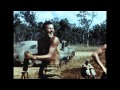 The First Fighters in New Guinea, 1942 - 1944