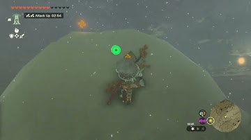 [DAY 697] of finding one korok seed in TotK everyday until we get them all